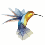 bird, hummingbird, wings-295026.jpg